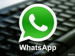 WhatsApp自动筛号助手