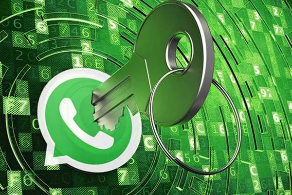 如何通过WhatsApp大量发送消息？