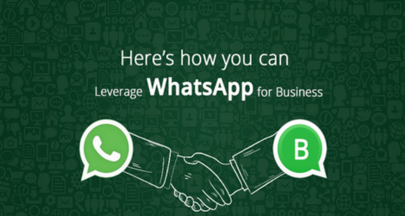 海外社交沟通聊天实时WhatsApp翻译软件-跨境王WhatsApp客服系统