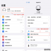 苹果手机如何下载WhatsApp/Line？