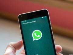 WhatsApp如何营销筛号助手