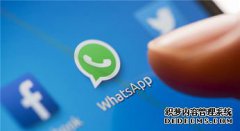 为什么会给企业推荐使用WhatsApp business版本