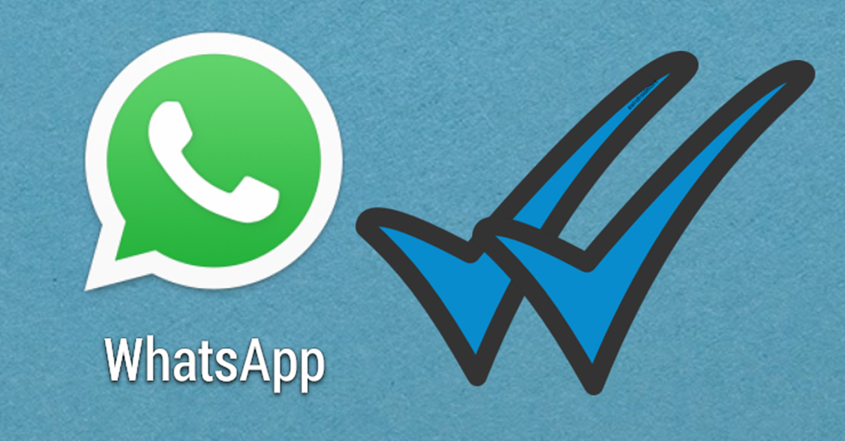 WhatsApp筛选软件