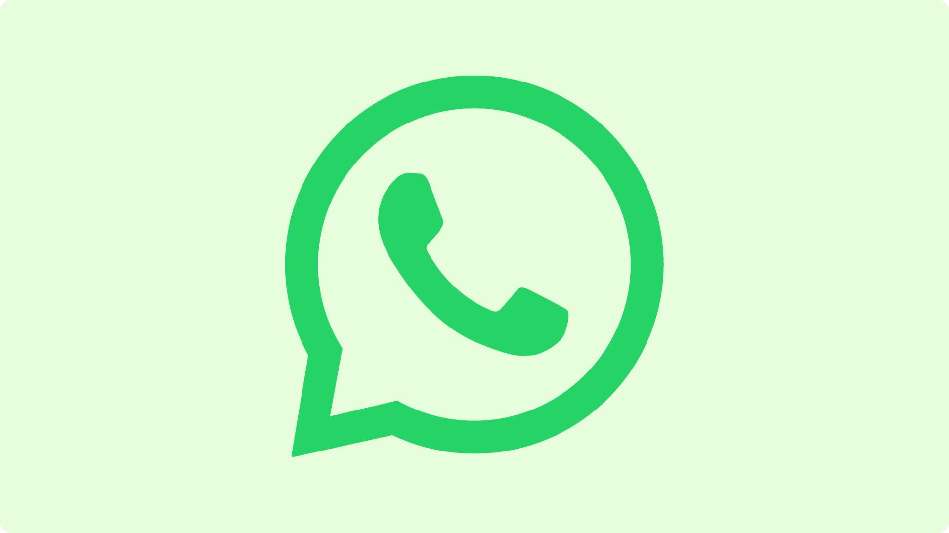 WhatsApp号码过滤软件