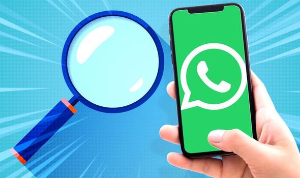 WhatsApp用户信息采集软件