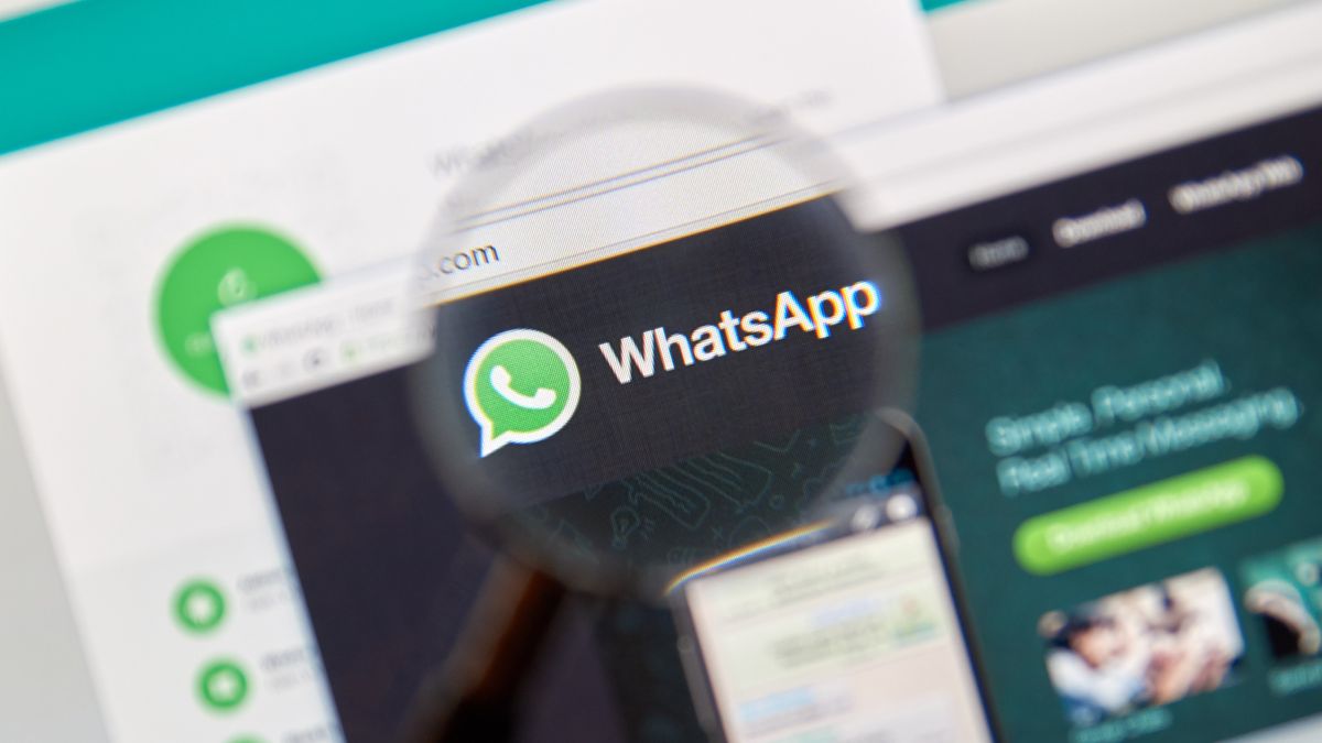WhatsApp号码检查工具