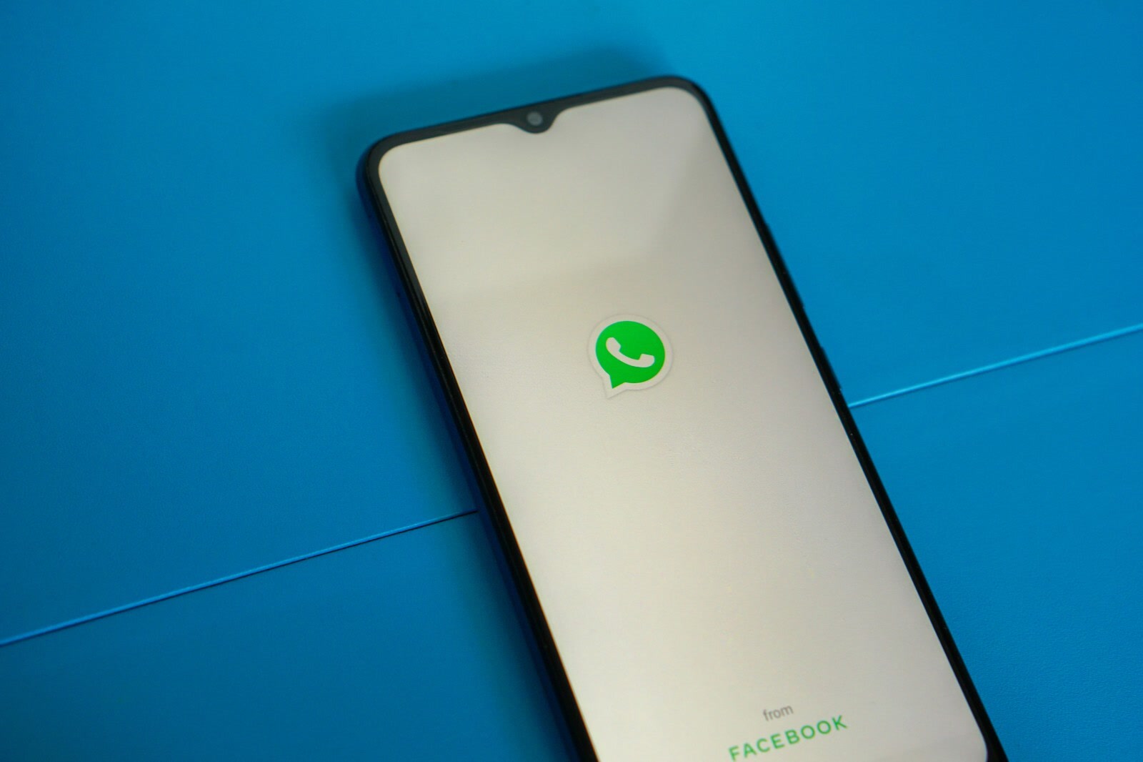 WhatsApp号码检测软件