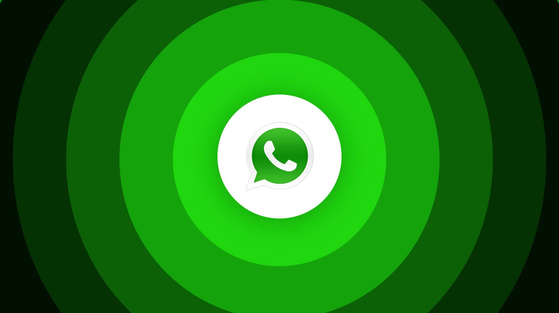 WhatsApp群发工具
