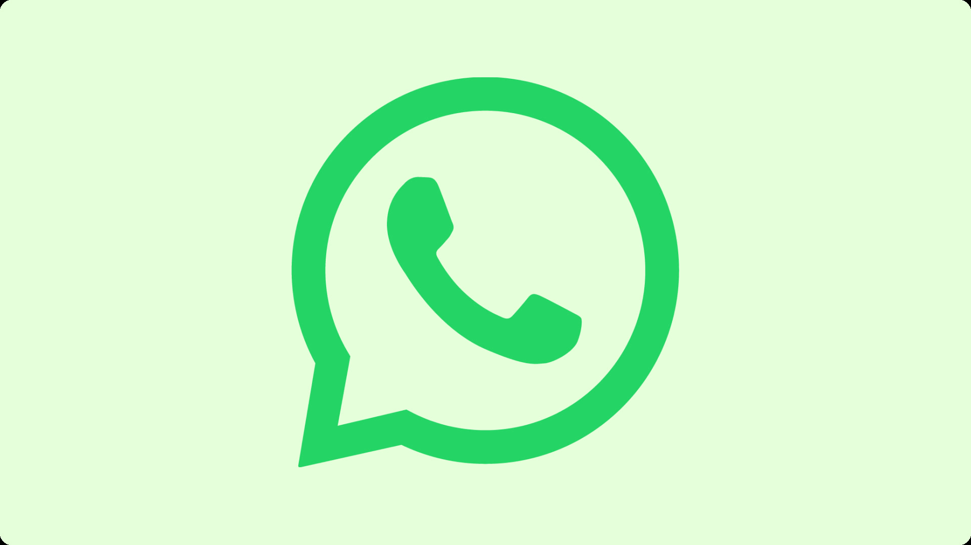 WhatsApp养号软件