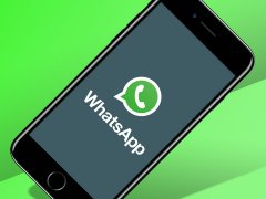 WhatsApp如何快速营销？试试群发吧！