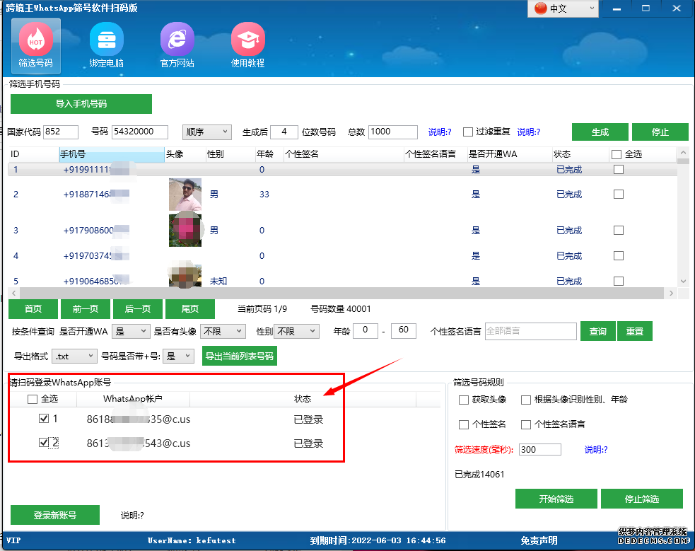 WhatsApp号显示登录状态