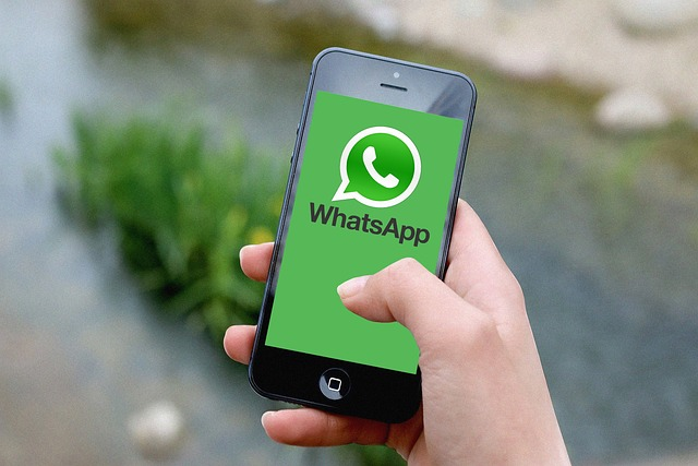 外贸whatsapp如何让客户回复