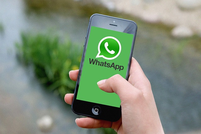 如何便捷安全实现WhatsApp群发?