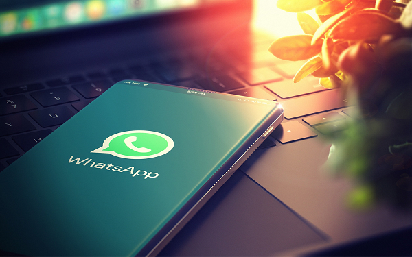 WhatsApp筛选器