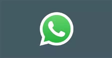 WhatsApp过滤器