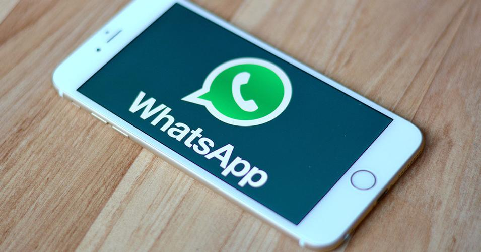 WhatsApp联系人提取器