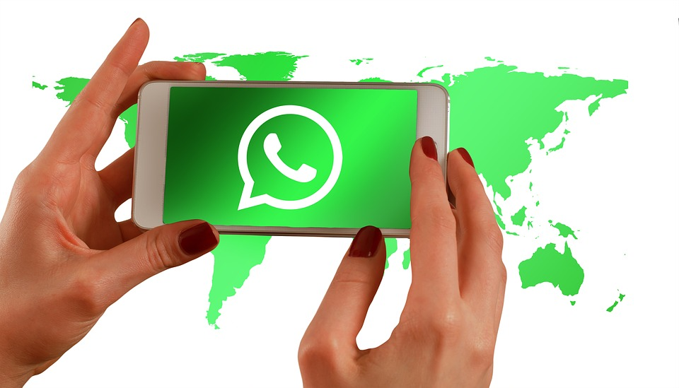 提取WhatsApp号码