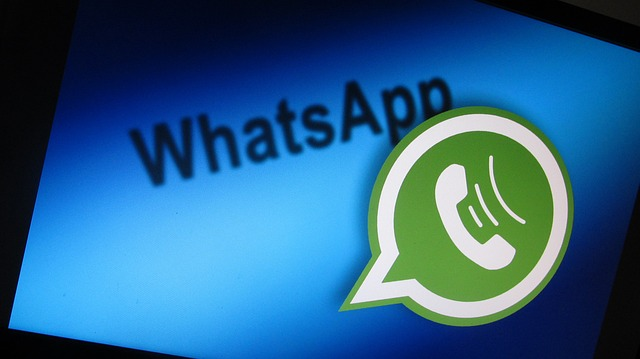 如何从WhatsApp中提取电话号码