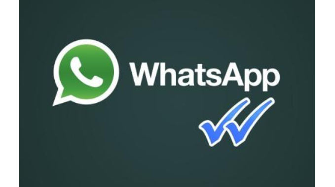 WhatsApp男女筛选
