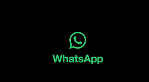 WhatsApp怎样自动翻译