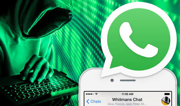 如何检查whatsapp号码
