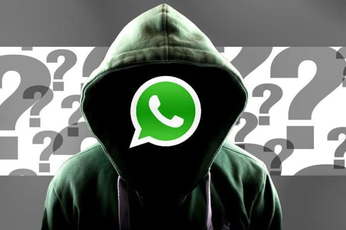 如何获取活跃的 Whatsapp 联系人