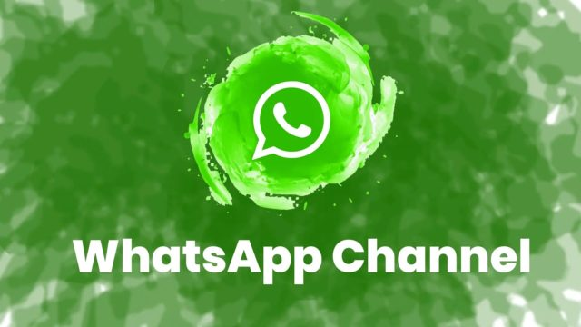 WhatsApp频道号，WhatsApp协议号，WhatsApp哈希号