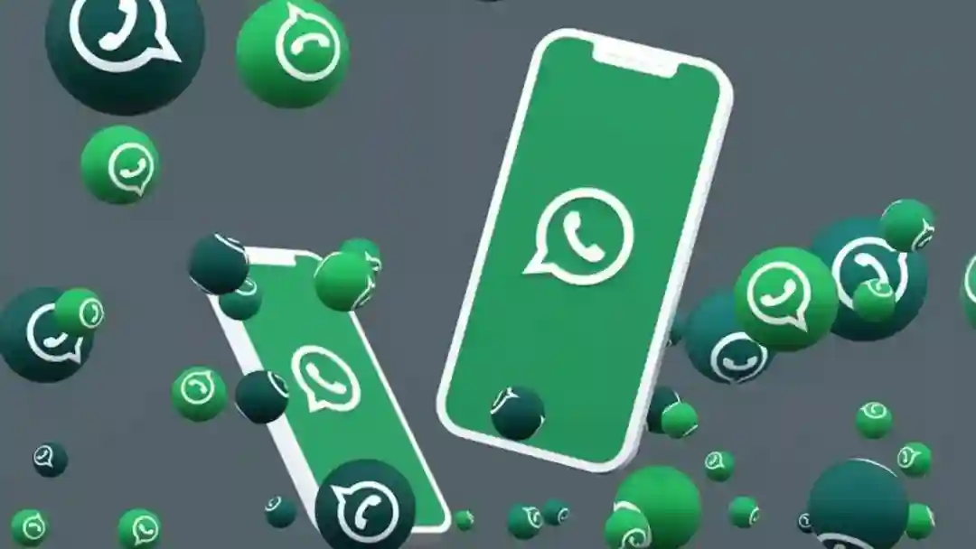 WhatsApp筛选，快速筛选是否有无WhatsApp账号、年龄、头像等