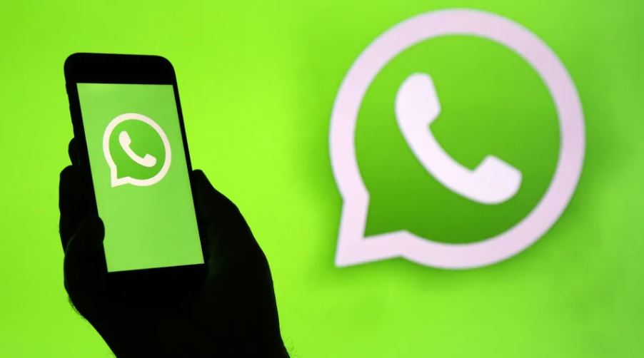 WhatsApp联系人提取器专业版免费下载