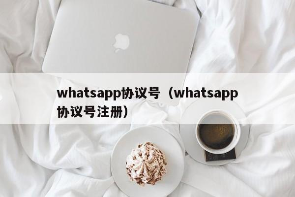 企业为什么要选择WhatsApp协议号做营销?