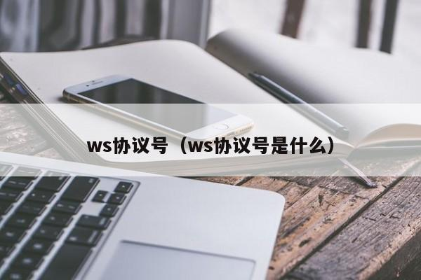 WS协议号